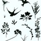 Bird_silhouettes