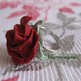 Hikariwosagasu_-_rose_rings_02
