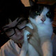 Tumblr_lx3tz3udsg1ql3gi4o1_500
