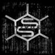 Viruslogogrey