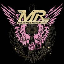 Mrwingsladysdistressed_medium