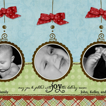 Picture Perfect Ornaments
