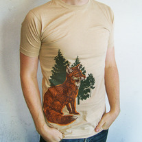 Foxinthewoods_medium
