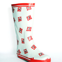 Bstu-rb-w-aw100_medium