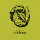 Cabbage_02_small