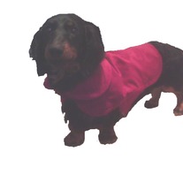 Red_corduroy_coat_medium