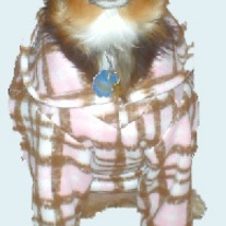 Pinkwhitebrown_plaid_medium