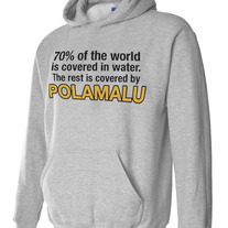 70% Polamalu Hoodie