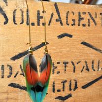 Peach faced lovebird feather earrings.