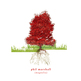 Magnolia_cover_small