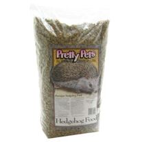Hedgehog_medium