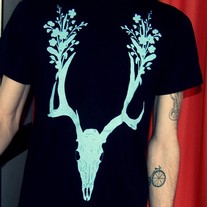 Antler1_medium