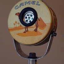 0007_20camel_201_medium