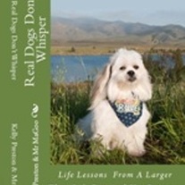 Bookcoverpreviewa_medium