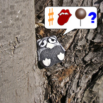 Owlie_20002_20-_20cropped_medium