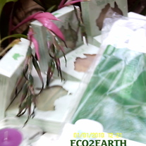 Unfolded_20bottle_medium