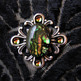Abalone_small