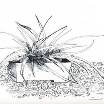 Drawing-3-a_medium