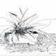 Drawing-3-a_small