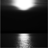 V_20cover_medium