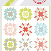 Shapeimage_1_medium
