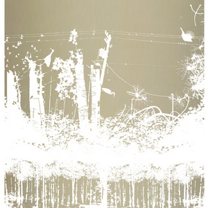 300-3_large
