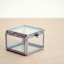 Curious-box1_medium