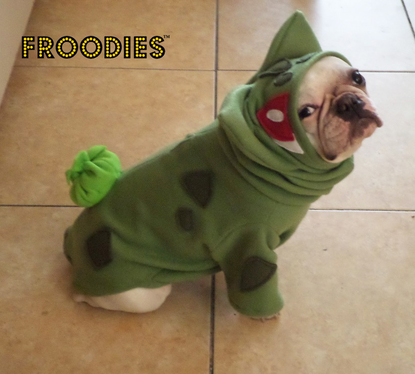 Image result for dogs dressed as pokemon