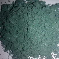 Moss_medium