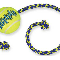 Squeekball_roop_medium