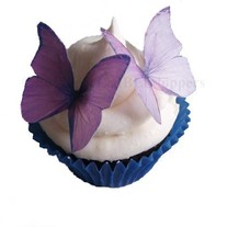 Purple_and_lav_medium