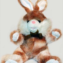 Keester Bunny