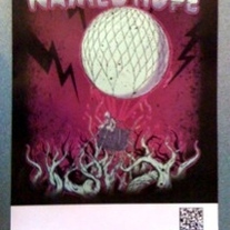 AHNH Signed Promo Poster