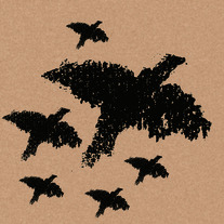 Limited_cd_front_cover_medium