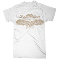 Grey Eagle T-Shirt | American Apparel