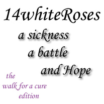 14whiteRoses- a sickness. a battle. and Hope. (acoustic demos)
