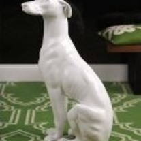 Dog_medium