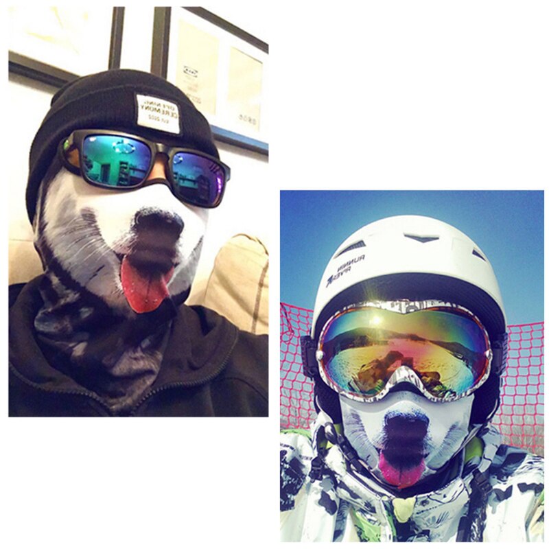 dog full face helmet