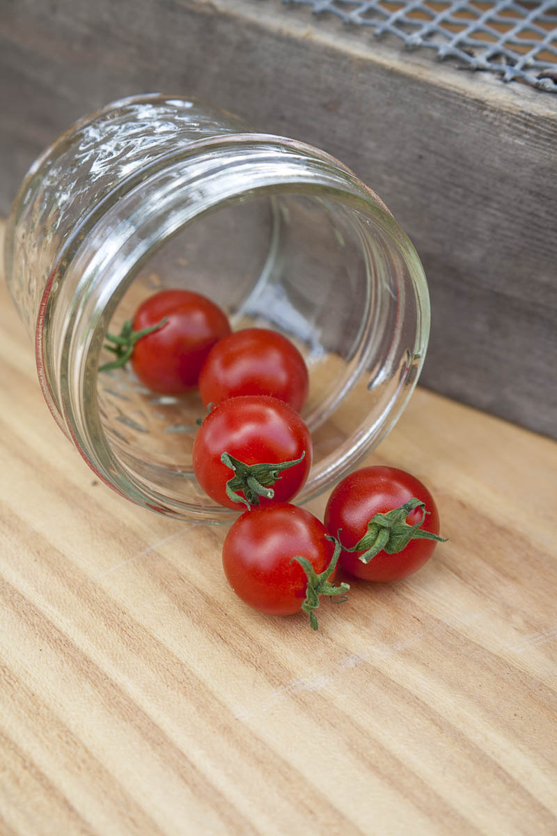 Sweet Aperitif Heirloom Cherry Tomato Premium Seed Packet Sweetest