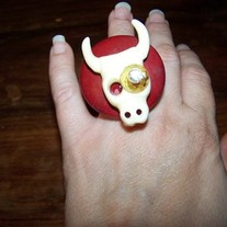 The Steer