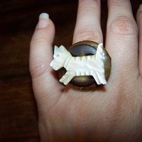 The Scottie
