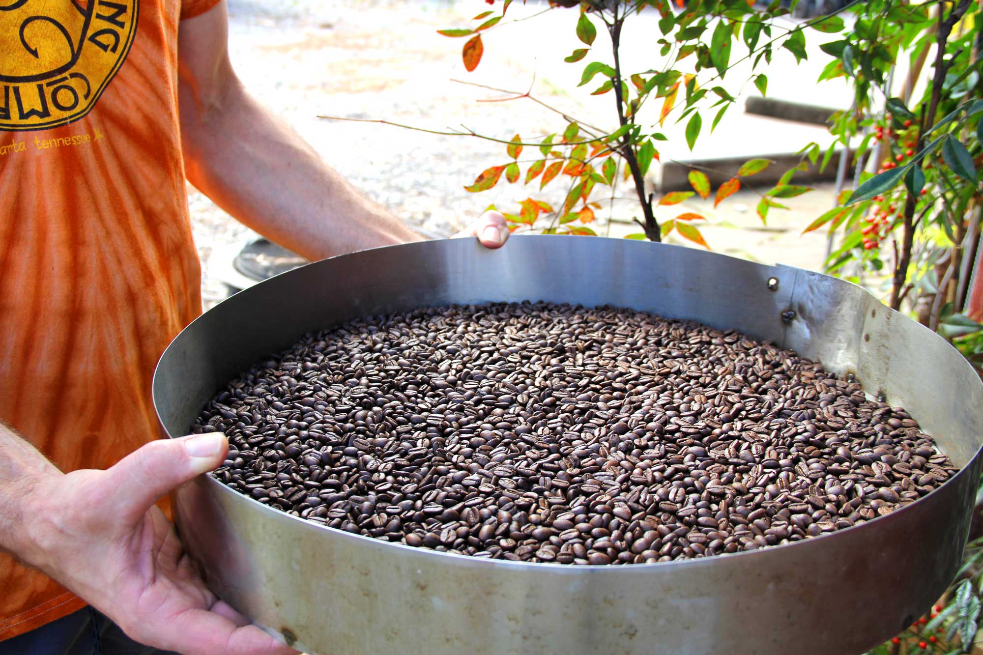 Coffee Beans Online >> Fresh Fire Roasted Calfkiller Coffee Beans From Calfkiller Brewing Company Coffee Beans Online >> Fresh Fire Roasted Calfkiller Coffee Beans From Calfkiller Brewing Company
