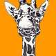 Orangegiraffe_small