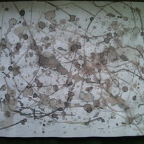Img00022-20100523-1603_medium