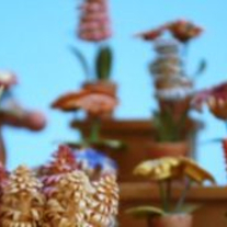 Littleshopbanner