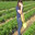 Strawberry_027